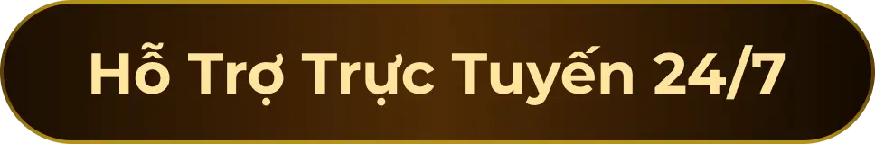 Hỗ trợ trực tuyến